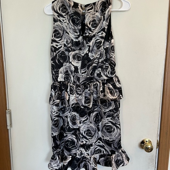 Kate Young for Target Roses & Ruffles Dress size 8 - Picture 2 of 7